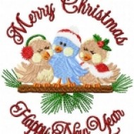 Winter Birds