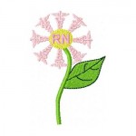 caduceusflower