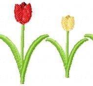 Tulip Border (4×4)