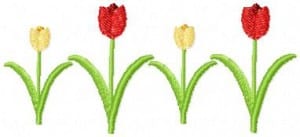 Tulip Border (4×4)