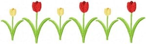 Tulip Border