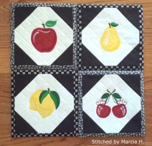 Fruit Themed Hotpads for XL hoops